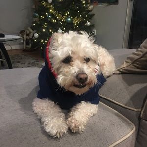 Meet your Posher, Jay